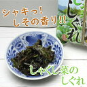 しゃくし菜しぐれ 秩父名産しゃくし菜 しぐれ煮 ご飯のおとも 酒の肴にも(4)