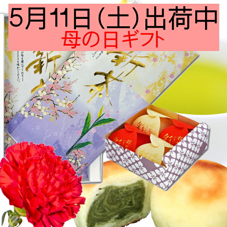 狭山茶 ～ 5/11(土) 出荷中 母の日 ギフト ～ あす楽 お茶 茶 ギフト セット 生花 カーネーション お菓子 花とお菓子 新茶 茶葉 リーフ 緑茶 煎茶 狭山茶 高級茶 ギフトセット プレゼント 贈り物 母の日ギフト 日本茶 スイーツ 和菓子 全国送料無料 オリジナルメッセージカード