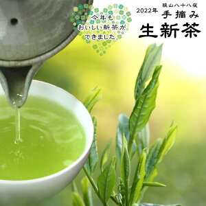 2022度産狭山 八十八夜 手摘み 新茶最高級 手摘み茶 「生新茶」野木園（自然仕立て園）100パック限定販売母の日ギフト ギフト 狭山茶 狭山新茶 日本茶 緑茶 お茶 茶葉 リーフ 手摘み