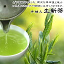 2025度産 新茶 最高級 手摘み 茶 「生新茶」 ギフト 父の日 狭山 八十八夜 手摘み茶 萎凋香 野木園 自然仕立て園 100パック 限定 販売 狭山茶 狭山新茶 日本茶 緑茶 お茶 茶葉 リーフ 急須 高級 貴重 希少 滋味 リラックス 日本農業賞 茶園 やぶきた ふくみどり ゆめわかば