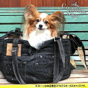 【あす楽対応】14時迄受付延長中!2箇所メッシュで夏も活躍!