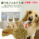 完全無添加 犬 おやつ 無添加 国産 手づくり 猫 魚 【定期便3回分】最高級鮫【フォルテ】 シャーク シリーズ 選べる5種セット ヨシキリザメ コンドロイチン...