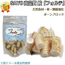 シャークボーン(鮫軟骨) 【フォルテ】ボーンブロック 40g【3袋以上でメール便送料無料】1つのメール便最大4個まで発送可能【在庫商品】【即納可能】【あす楽対応】【アウトレット商品を含んだ3点の場合メール便送料無料除外となります。】