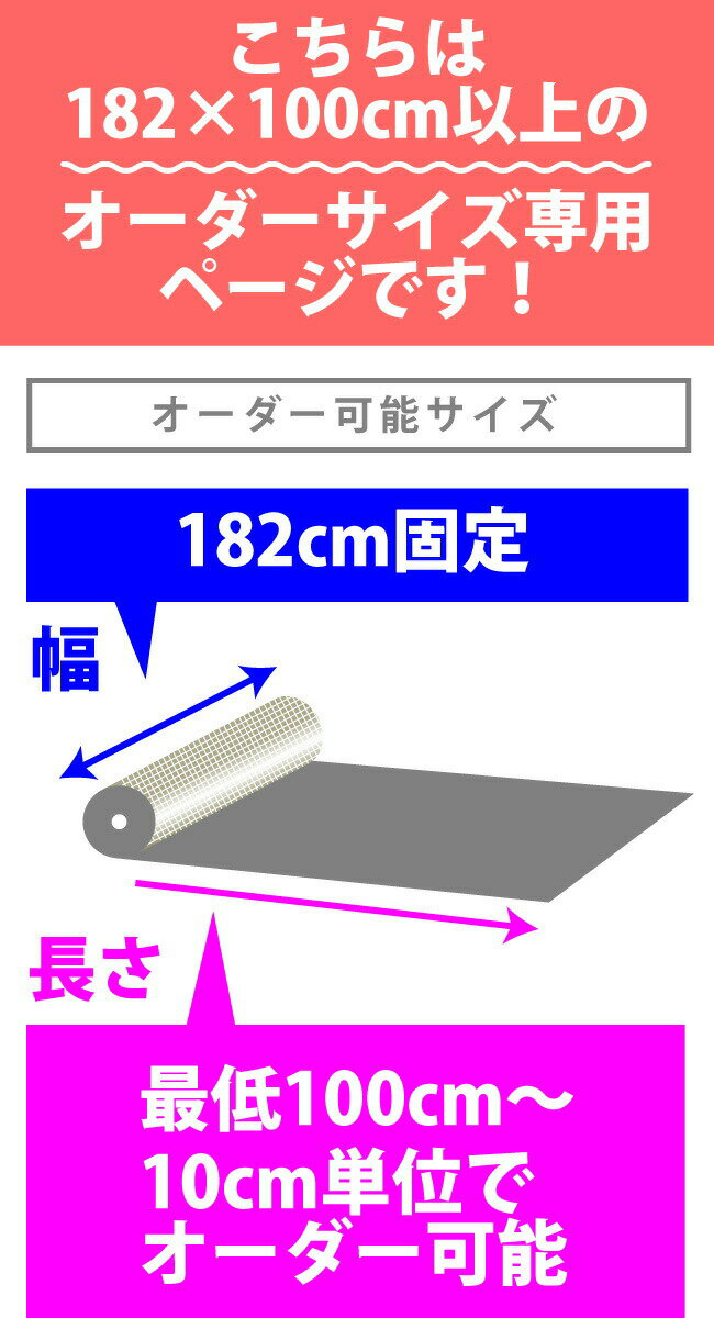 【10cm単位オーダーページ・長さ100cm以上×幅182cm】送料無料 バレエ ダンス専用 床マット バレエ 練習マット リノリューム[TMフロア TS1 東リ]自宅レッスン リノ リノリウム フロア 教室専用床材 バレエ用品[クーポン不可][同梱不可][pgg013-order][2PU]