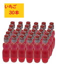 トレボン食品 PET イチゴ 250ml×30本 ケース販売 ペットボトル いちご