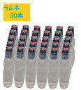 トレボン食品 PET ラムネ味 250ml×30本 ケース販売 ペットボトル らむね