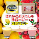 ★人気2種セット☆野菜やフルーツ酵素を摂りたい方も！ビタミン&乳酸菌を摂りたい方も！おススメ簡単スムージーセット★欲張り2袋セット！..