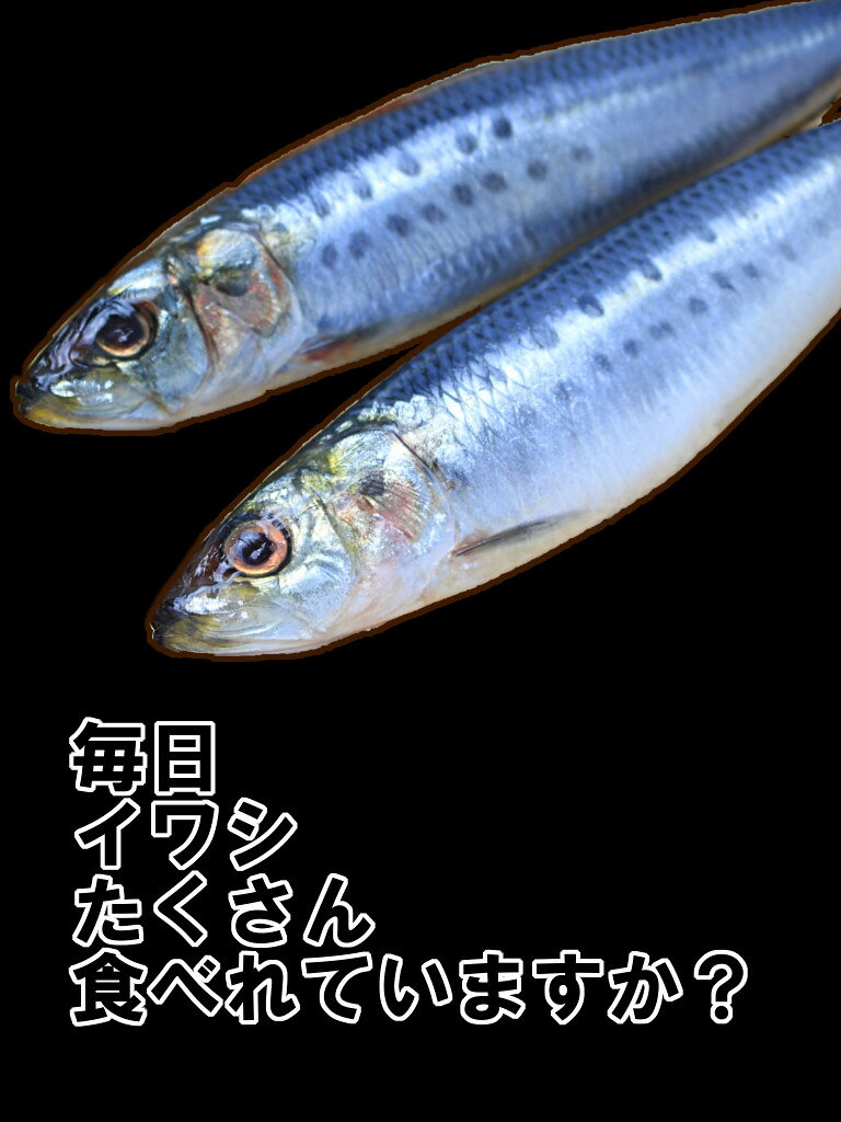EPA��Ż뤷������������ֱ��EPA&DHA��90��ʬ(30��ʬ��3��)�����饵����ʬ�ɤ��������Ѥ�������Ǥ������ᥬ3��100��������ѡ�¾���������᤿�ꤷ�Ƥ��ޤ���