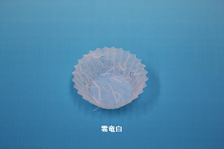 フィルムケース 6F 雲竜白 (500枚/1本)の紹介画像2