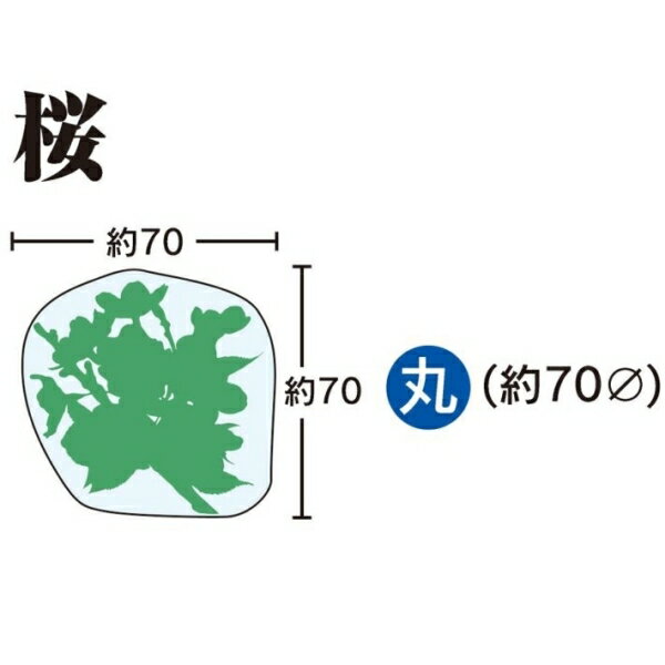 グルメシート 桜 丸(70φ)(1000枚入)の紹介画像2