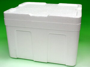 発泡保冷箱　C−22　蓋付