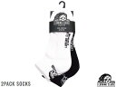 Ki LURKING CLASS 2PACK SOCKS WHITE BLACK [LNX c[pbN\bNX zCg  ubN  ubNƃzCg2Zbg Sketchy Tank XPb`[^N XP[g St oCN ]