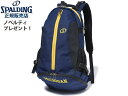 国内正規品 スポルディング バスケ リュック ケイジャー ミシガン ネイビー 40-007MIC 32L メンズ レディース 男女兼用 ミニバス バスケットボー...