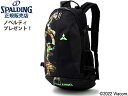 国内正規品 スポルディング バスケ リュック ケイジャー バックパック タートルズ パターン 40-007TU 32L メンズ レディース 男女兼用 ミニバス ...