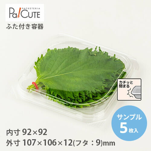 【サンプル商品：大葉1束パック】葉物 容器 業務用 野菜 大葉 エゴマ バジル しそ シソ 少量 大量 透明..