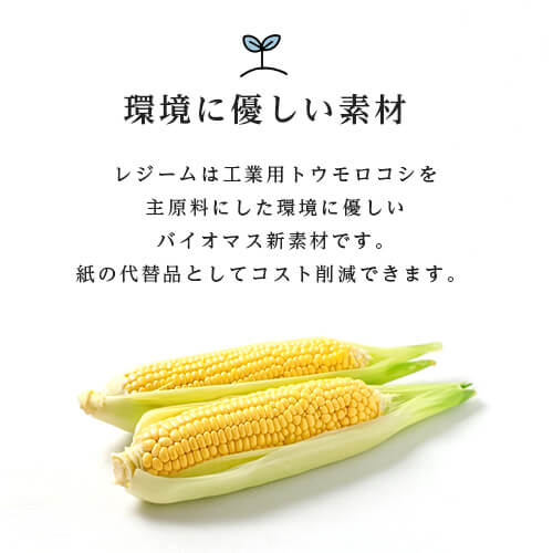 【フルーツパック4P(L)(アースカラー)】【...の紹介画像3