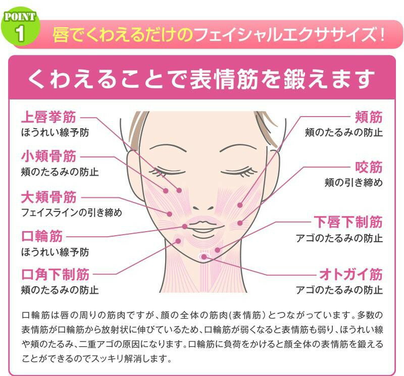 オムニ【フェイシャルリフトアトワンスαビギナーズセット】/防水/オムニ/エクササイズ/お風呂/エクササイズ/表情筋/口輪筋/ほうれい線/たるみ/二重あご/美顔器/OMNI/美容/表情筋ほうれい線/小顔/送料無料