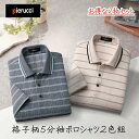 Pierucci 5分袖ポロシャツ 2色組 お得な2枚セットピエルッチ 格子柄 台襟仕様 襟がきれいに決まる 大人カジュアル 落ち着いた色合い 春夏 涼しい お...