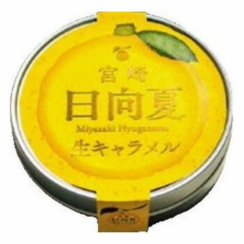 響 宮崎日向夏生キャラメル 12粒×60個 国産 口どけなめらか 常温タイプ 【日向夏風味 キャンディ お土..