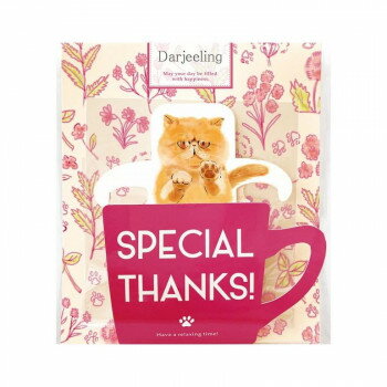 陶和 キッサ ティーバッグ RD ダージリン 12個入り 【日本製】 ギフト お返し 内祝い おすすめ スモーキー 爽やか ストレートティー カップ掛け ティーバッグ