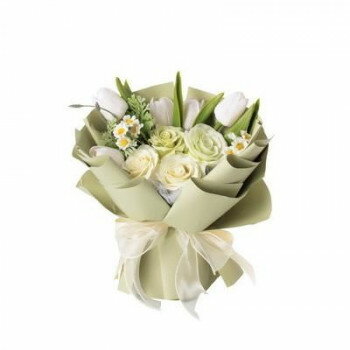 �ܥå����Хå� �����ץե� �֡��� GREEN HOUSE 5569-GR ���꡼�� ���ݤ� �������� �Ѿ��� ����� ´�ȼ� ���֤� ���ե� �ץ쥼���