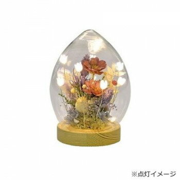 LED�ե������ �ɡ��� ή�� ������ �ץꥶ���֥ɥե� ���� ��� ���ޤ��� L �ѡ��ץ� 120��165mm ���Ӽ� ������� ����ƥꥢ ���ե�...