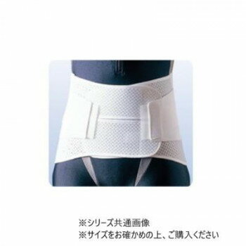 日本製 アシスト 腰・骨盤 ハードデ