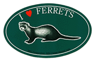 I LOVE FERRETƥå ڥ꡼  SBSݥ졼 Ĺ15cm ꥸʥ ƥå  եå ...