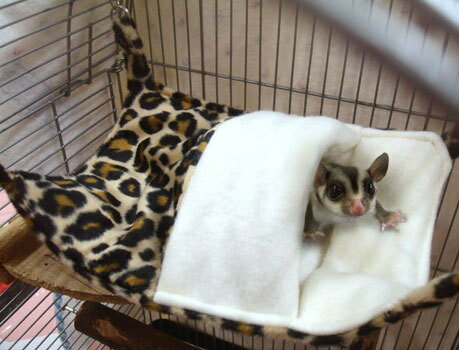 �� ���˥ޥ�ϥ��å� �� SBS�����ݥ졼����� ���� ���ꥸ�ʥ�