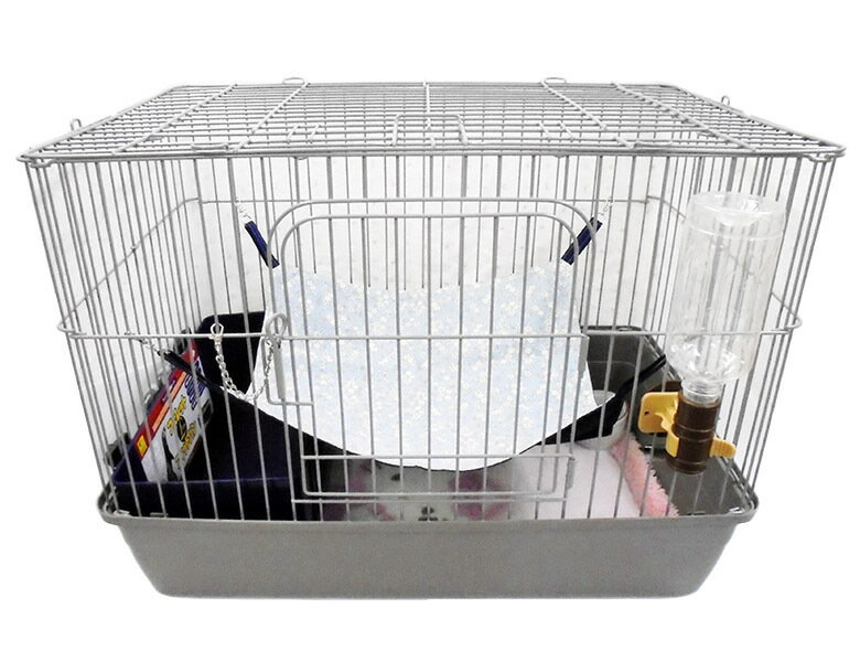 楽天市場】フェレット 飼育セットの通販 楽天市場】フェレット 飼育セットの通販