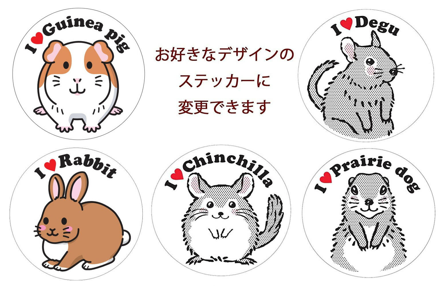 �ڥ��ƥå������åȡۡ� OXBOW ������������⥷�� ��425g�� 1��+���٤륹�ƥå������å� �۷�2�� ���å����ܥ� ����