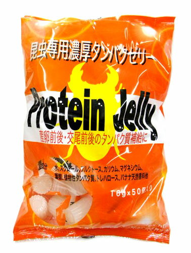 �� ǻ������ѥ����꡼ �� �֥꡼���������ե�����������