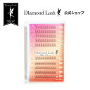 NEW 【ダイヤモンドラッシュ公式】 DiamondLash ワンホンラッシュシリーズ no.901 部分つけまつげ 8mm 9mm 10mm つけまつげ つけま 部分用 マツエク