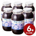 【送料無料】ブルーベリージャム 1,040g×6本まとめ買い【のし・ラッピング・化粧箱詰