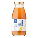 ジンジャーエールの素　290ml【炭酸水で割る／希釈タイプ】 3