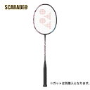 バドミントン アストロクス100ツアー AX100T ヨネックス バドミントンラケット バドミントンシューズ バドミントンガット バドミントンウェア シャトルコ...