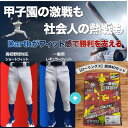 【ローリングス4D8+PLUS×Darth 究極の伸縮性パンツセット】 野球 ユニフォームパンツ 大人 野球練習着ズボン ショートフィット 丈夫 伸びる 野球ウ...