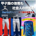 【アクティブーム長袖×Darthセット】 野球 ユニフォームパンツ 大人 野球練習着ズボン ショートフィット 丈夫 伸びる 野球ウェア 野球ズボン アクティブー...