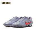 NIKE ナイキ ティエンポ レジェンド 10 アカデミー HG サッカースパイク 土グラウンド用 Scary Good PACK 2025年秋冬モデル dv4339-402