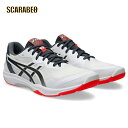 ASICS アシックス バレーボールシューズ メンズ ROTE JAPAN LYTE FF 3 ローテジャパン ライト FF 3 ホワイト レッド 1053A054-104 軽量 反発 クッション 安定性 部活 プレーヤー 1053a054-104