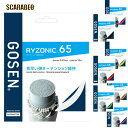 バドミントン Badminton バドミントンガット GOSEN RYZONIC series RYZONIC 65 0.65mm BSRY65 高反発 耐久性 テンション維持 コアファイバー 日本製 bsry65
