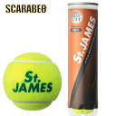 セントジェームス 庭球 STJAMESJ4 ダンロップ 硬式テニスボール St.JAMES(セント・ジェームス) STJAMESJ4 テニスボール