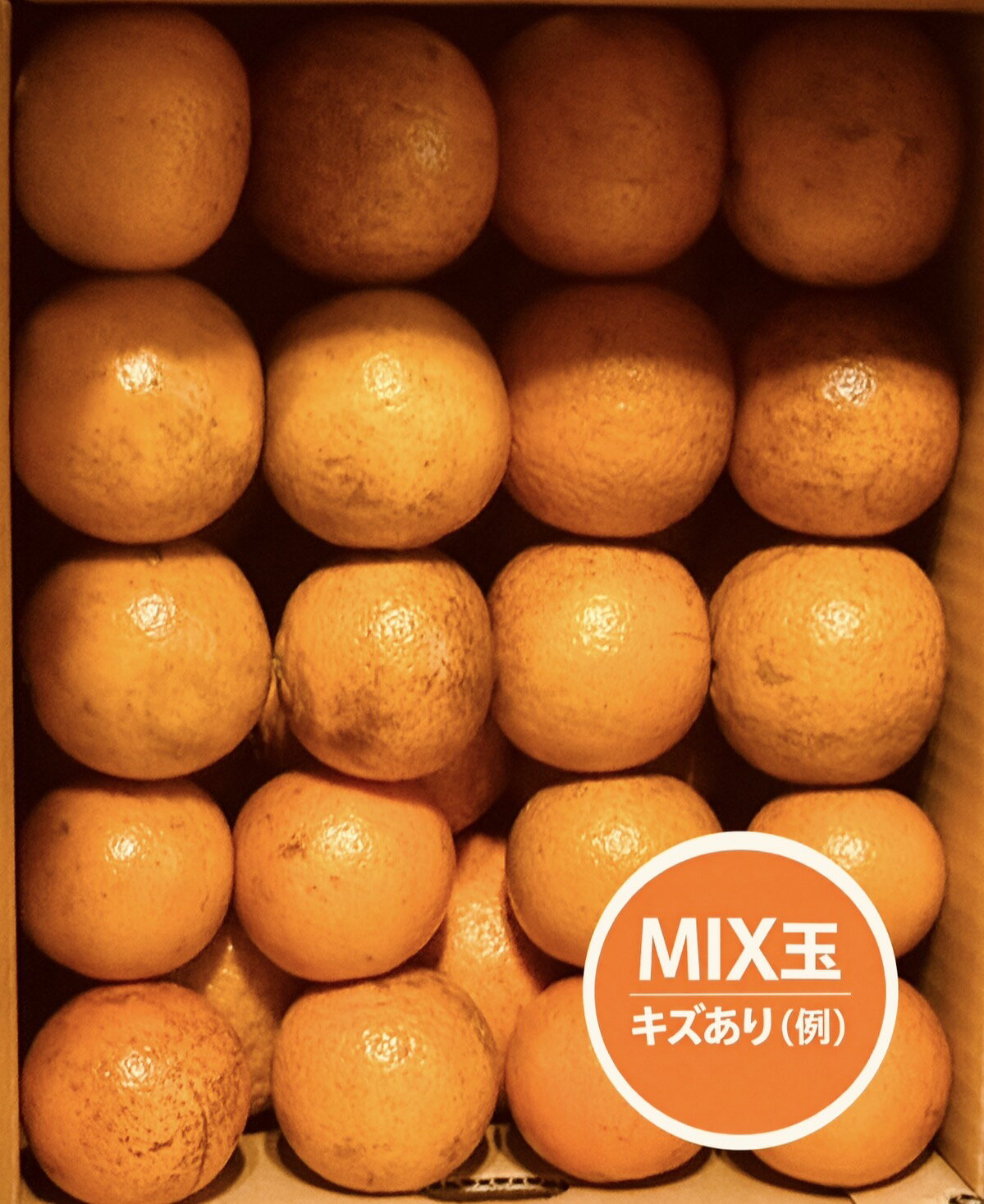 楽天市場】無 農薬 たんかんの通販