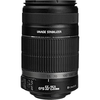 【中古】Canon EF-S 55-250mm f/4-5.6 is II 望遠ズームレンズ Canon EOS デジタル一眼レフカメラ用 (ホワイトボックス)