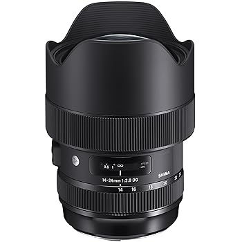 【中古】14-24mm F2.8 DG HSM シグマ用