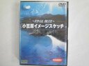 【中古】ファイナル・ブルー~小笠原イメージスケッチ [DVD]