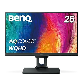 šBenQ PD2500Q ǥʡ˥ (25/WQHD/IPS/sRGB 100%/Rec.709 100%/DP,DP(out),miniDP,HDMI/AQCOLOR꡼)