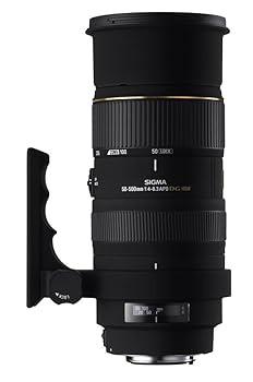 【中古】シグマ 50-500mm F4-6.3 EX DG HSM 