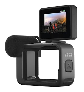 【中古】GoPro Display Mod - 公式アクセサリー 1080p