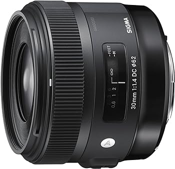 【中古】SIGMA 30mm F1.4 DC HSM Art A013 Sigma SAマウント APS-C/Super35